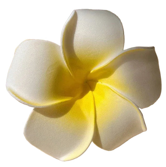 Plumeria