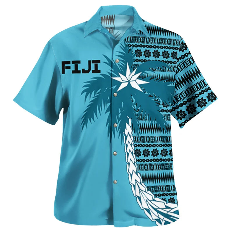 Formal Fiji